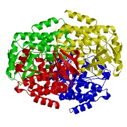 Image of CATH 4kio