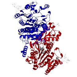 Image of CATH 4kjg