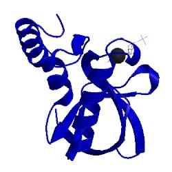 Image of CATH 4kjo