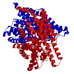 Image of CATH 4kjw