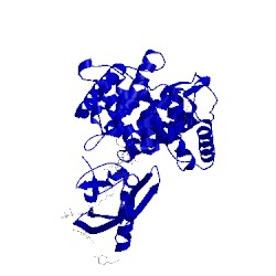 Image of CATH 4kkj