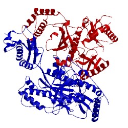 Image of CATH 4kko