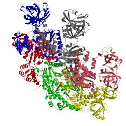 Image of CATH 4kln