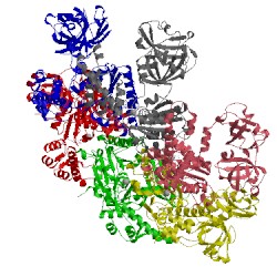 Image of CATH 4kln