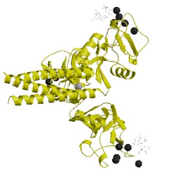 Image of CATH 4kmb