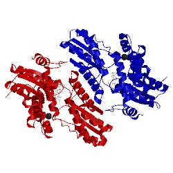 Image of CATH 4kmm