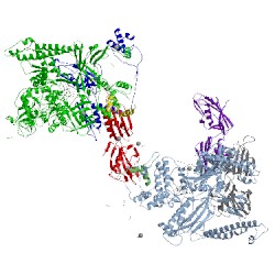 Image of CATH 4kn4