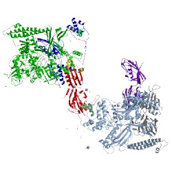 Image of CATH 4kn7