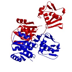Image of CATH 4kny