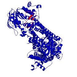 Image of CATH 4ksd