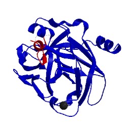 Image of CATH 4kts