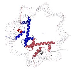 Image of CATH 4kud