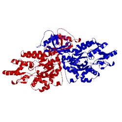 Image of CATH 4kv3