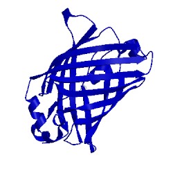 Image of CATH 4kw4