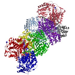 Image of CATH 4kwg