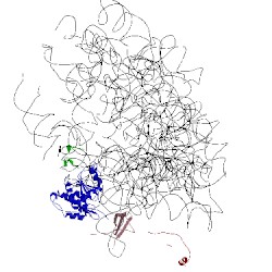 Image of CATH 4kzz