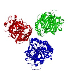 Image of CATH 4l02