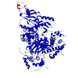 Image of CATH 4l1b