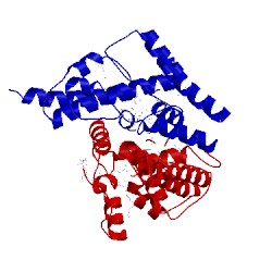 Image of CATH 4l1j