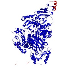Image of CATH 4l2y