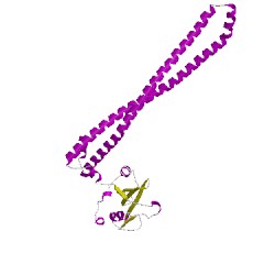 Image of CATH 4l2yB