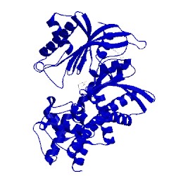 Image of CATH 4l3q