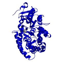 Image of CATH 4l4b