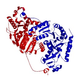 Image of CATH 4l4s