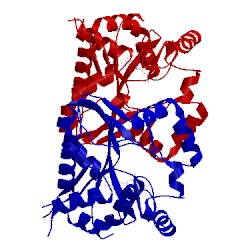 Image of CATH 4l50