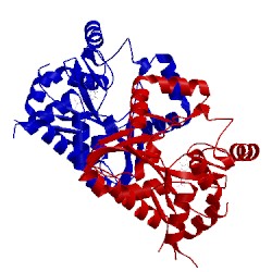 Image of CATH 4l51