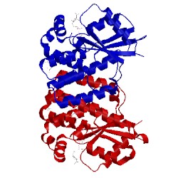 Image of CATH 4l5b