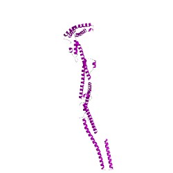 Image of CATH 4l6yB00