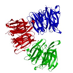 Image of CATH 4l7c