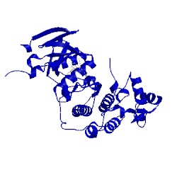 Image of CATH 4l7f