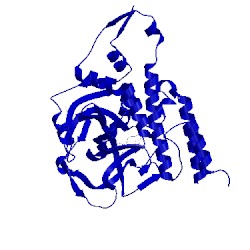Image of CATH 4l7l