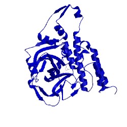 Image of CATH 4l7u