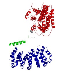 Image of CATH 4lac