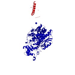 Image of CATH 4lc9