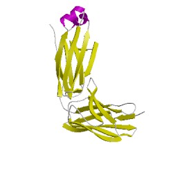 Image of CATH 4lcuB