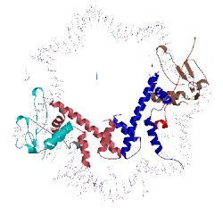 Image of CATH 4ld9