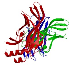 Image of CATH 4ldd