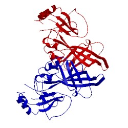 Image of CATH 4ldi