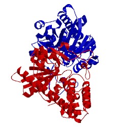 Image of CATH 4ldr