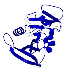 Image of CATH 4lek