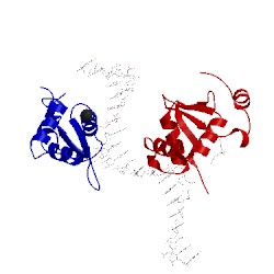 Image of CATH 4lg0