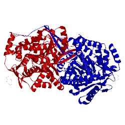 Image of CATH 4lh1