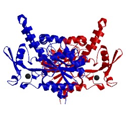 Image of CATH 4lip