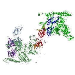 Image of CATH 4lk1