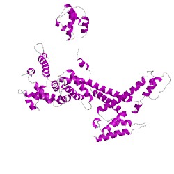 Image of CATH 4lk1L