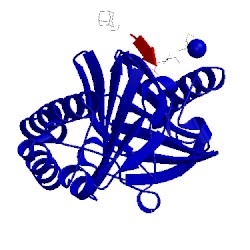 Image of CATH 4lkl